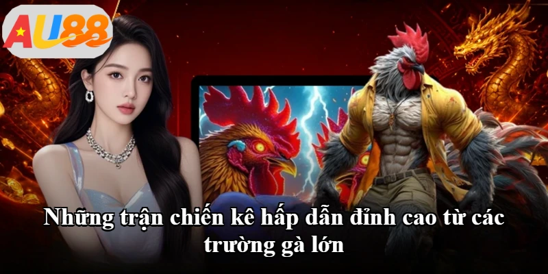 Những trận chiến kê hấp dẫn đỉnh cao từ các trường gà lớn Những trận chiến kê hấp dẫn đỉnh cao từ các trường gà lớn