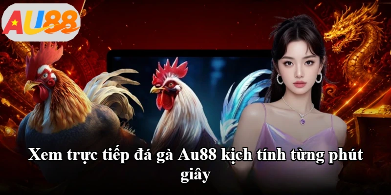 Xem trực tiếp đá gà Au88 kịch tính từng phút giây Xem trực tiếp đá gà Au88 kịch tính từng phút giây